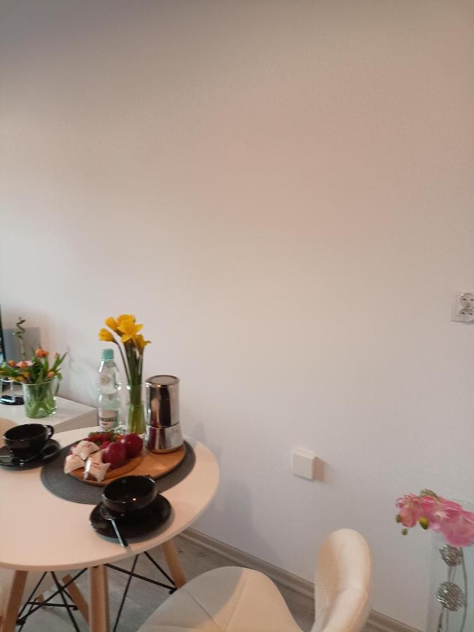 Apartamento Apartament Z Sauna I Jacuzzi Radom Exterior foto