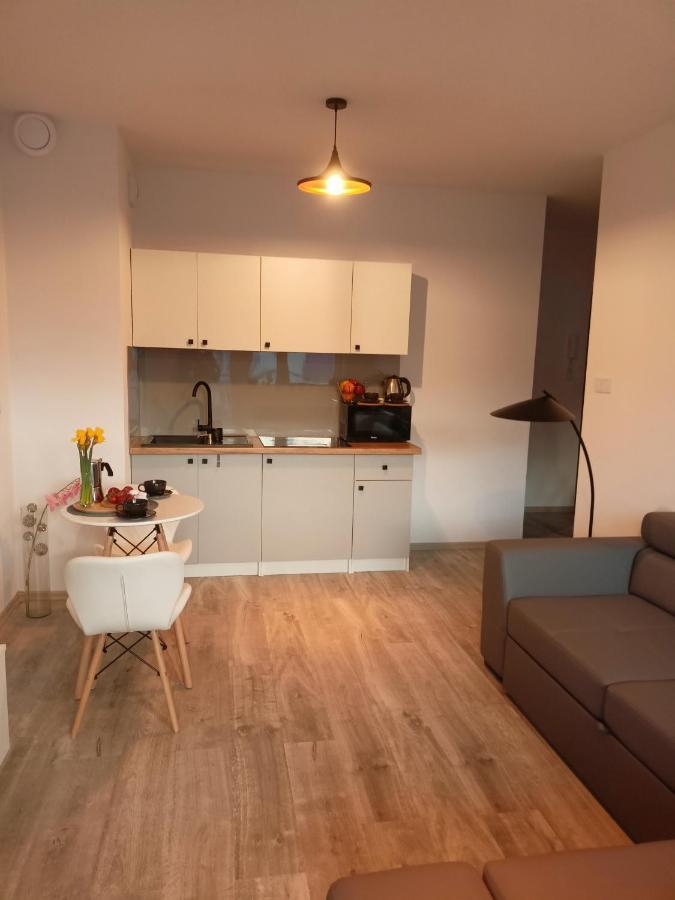 Apartamento Apartament Z Sauna I Jacuzzi Radom Exterior foto